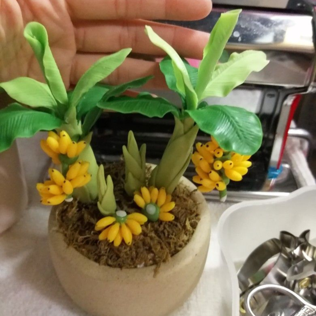 Mini Bananeira – 100 Sementes Raras - Perfeita para Cultivo em Vaso ou Estilo Bonsai