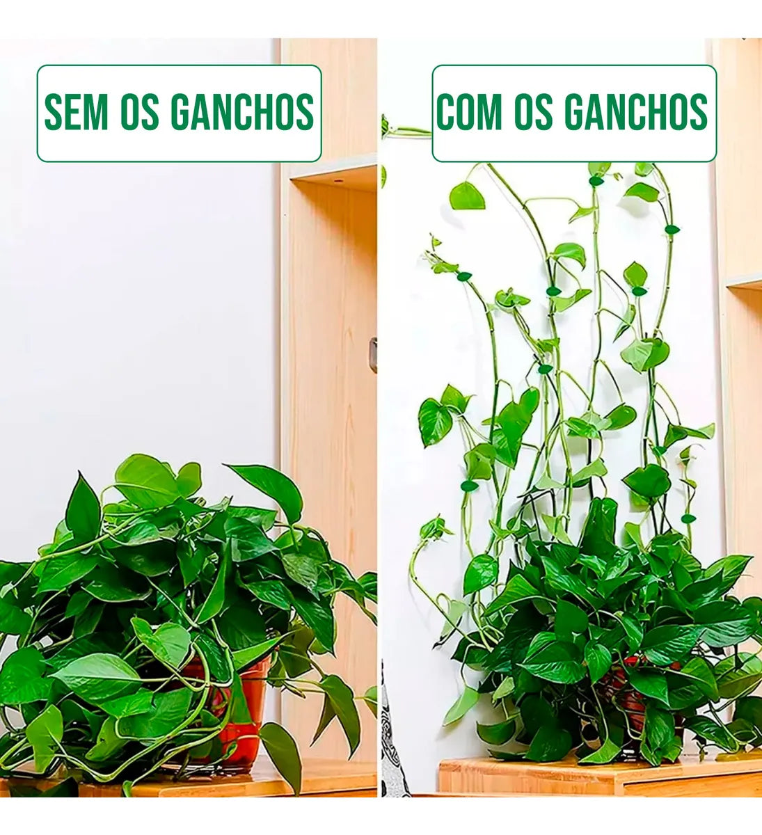 Suporte para Plantas Trepadeiras com Ganchos Folha Autoadesivos