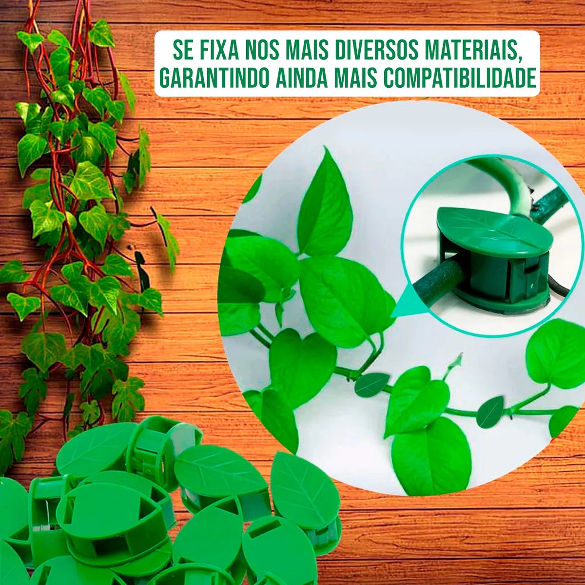 Suporte para Plantas Trepadeiras com Ganchos Folha Autoadesivos