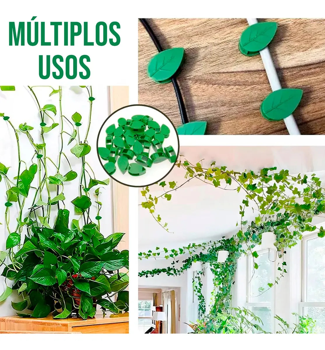 Suporte para Plantas Trepadeiras com Ganchos Folha Autoadesivos