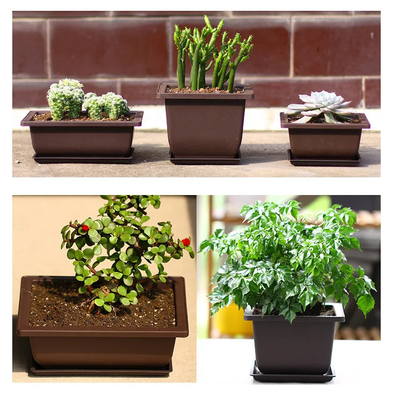 Vasos Clássicos de Plástico com Efeito Argila Roxa para Suculentas e Plantas