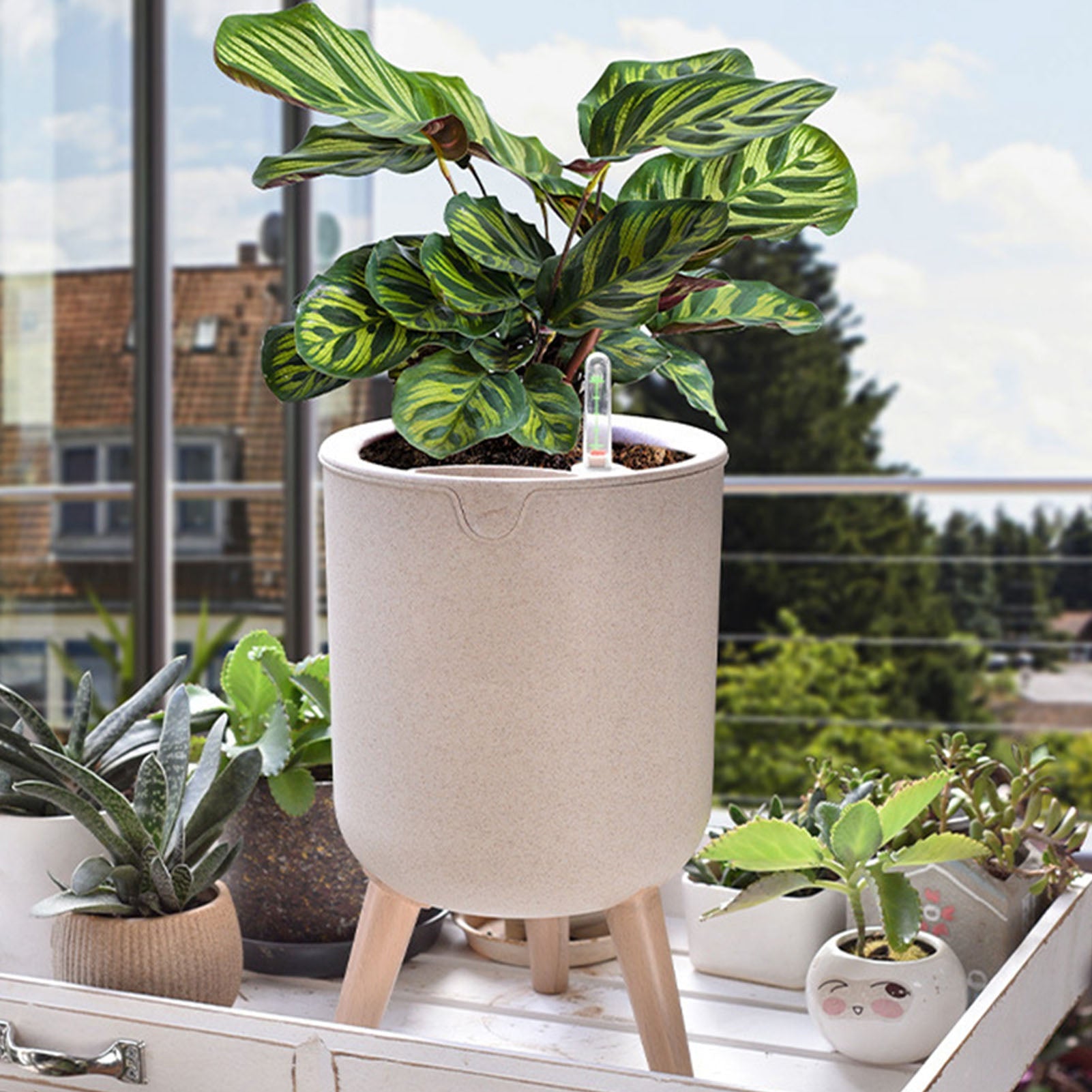 Vaso de Flores com Rega Automática