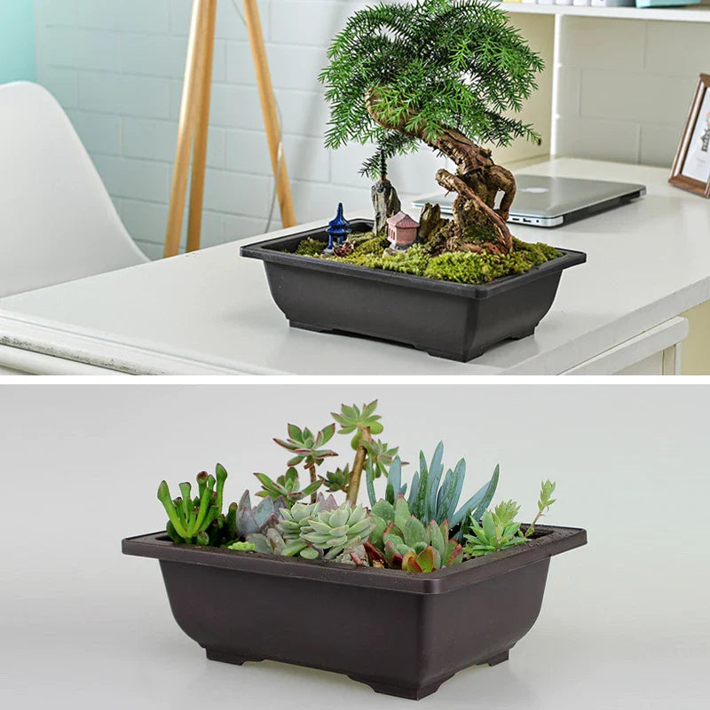 Vasos Clássicos de Plástico com Efeito Argila Roxa para Suculentas e Plantas