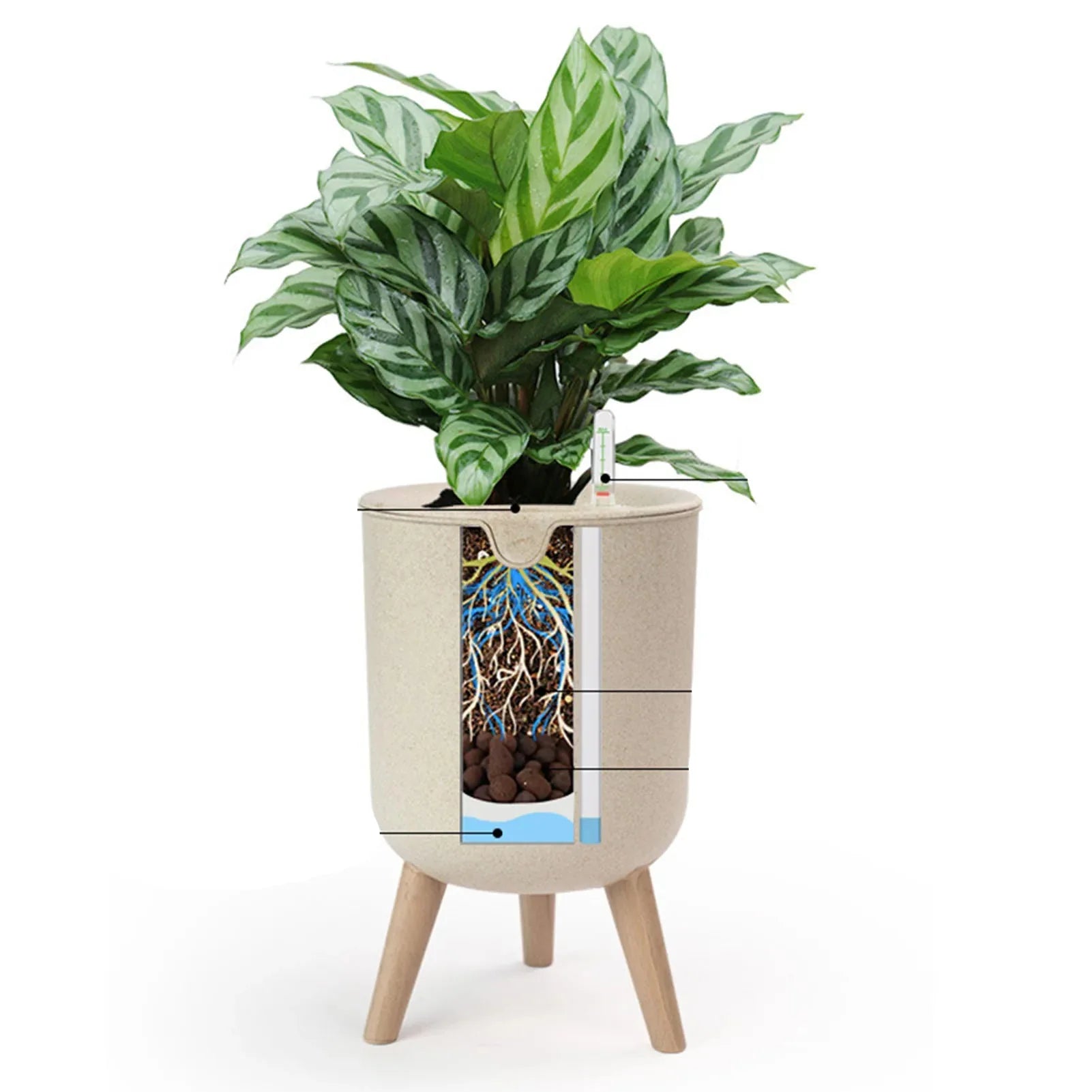 Vaso de Flores com Rega Automática