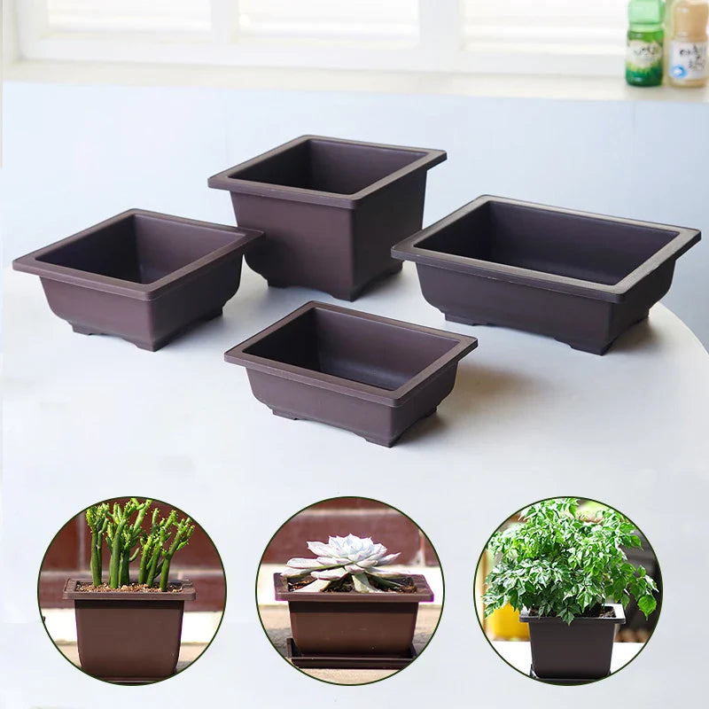 Vasos Clássicos de Plástico com Efeito Argila Roxa para Suculentas e Plantas