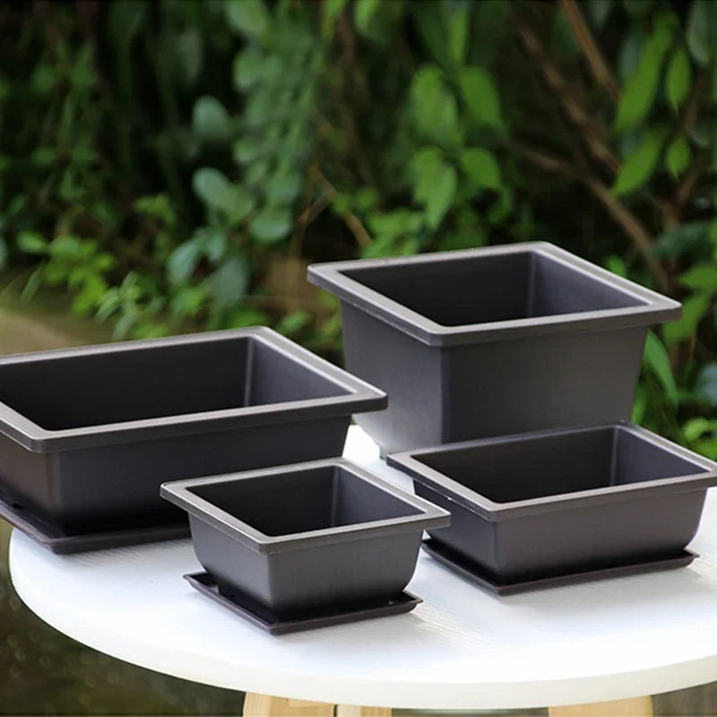 Vasos Clássicos de Plástico com Efeito Argila Roxa para Suculentas e Plantas