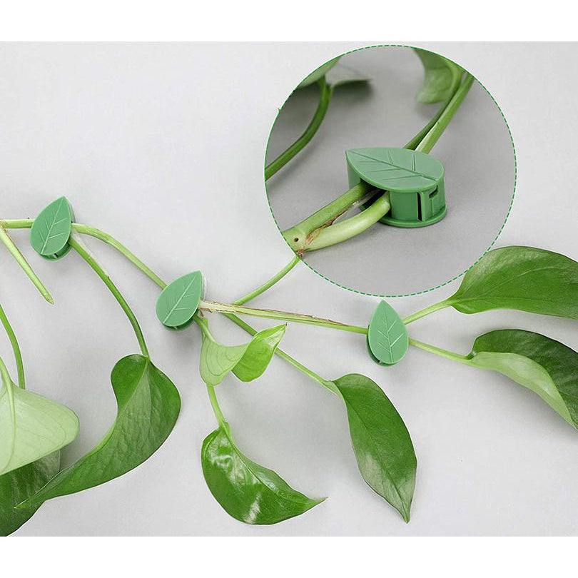 Suporte para Plantas Trepadeiras com Ganchos Folha Autoadesivos