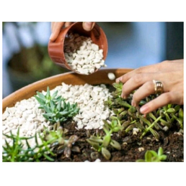3 Kg - Pedra Branca Para Decorações de aquários, jardins e vasos em geral