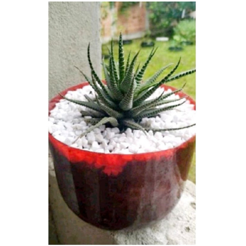 3 Kg - Pedra Branca Para Decorações de aquários, jardins e vasos em geral