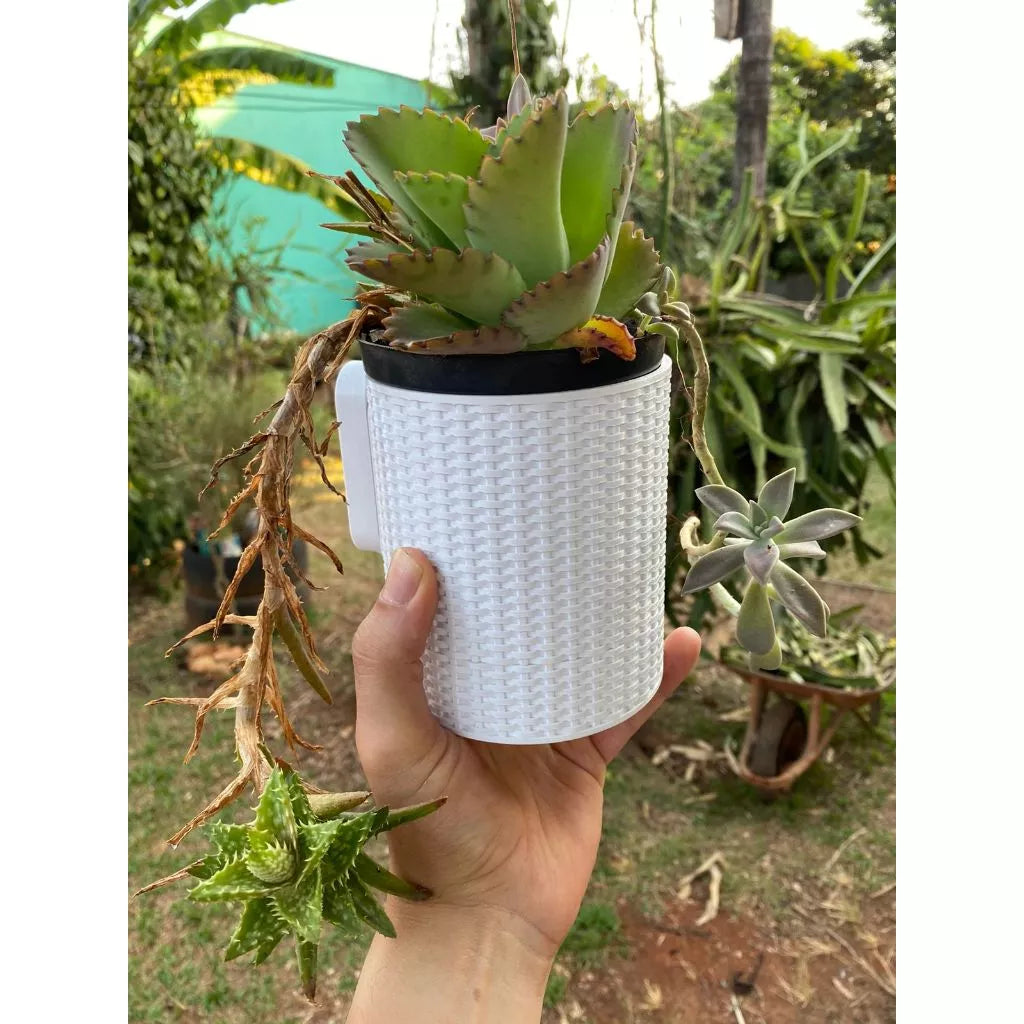 Vaso Parede para Plantas Jardim Vertical