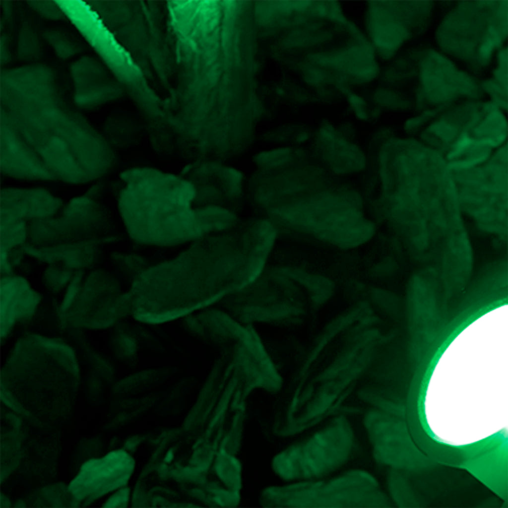 Kit de 10 Luminárias de Jardim LED 7W à Prova D'Água IP65 para Uso Externo