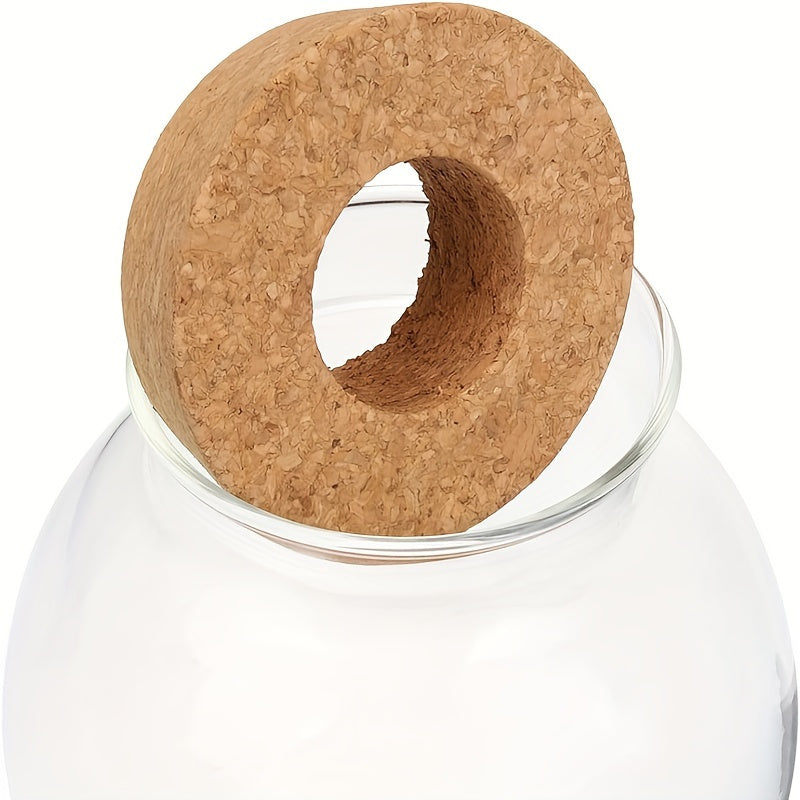 Vaso de Planta Hidropônico de Vidro Moderno