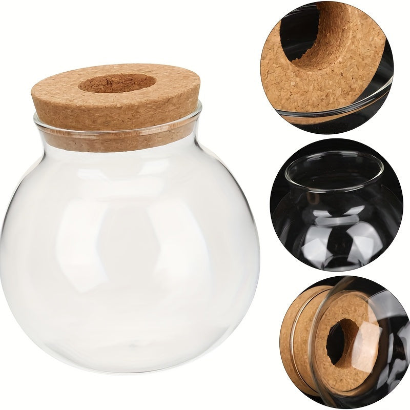 Vaso de Planta Hidropônico de Vidro Moderno