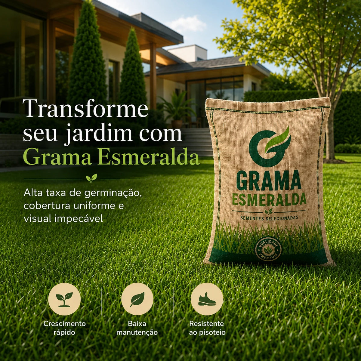 Sementes de Grama Esmeralda Premium – Gramado Denso e Macio