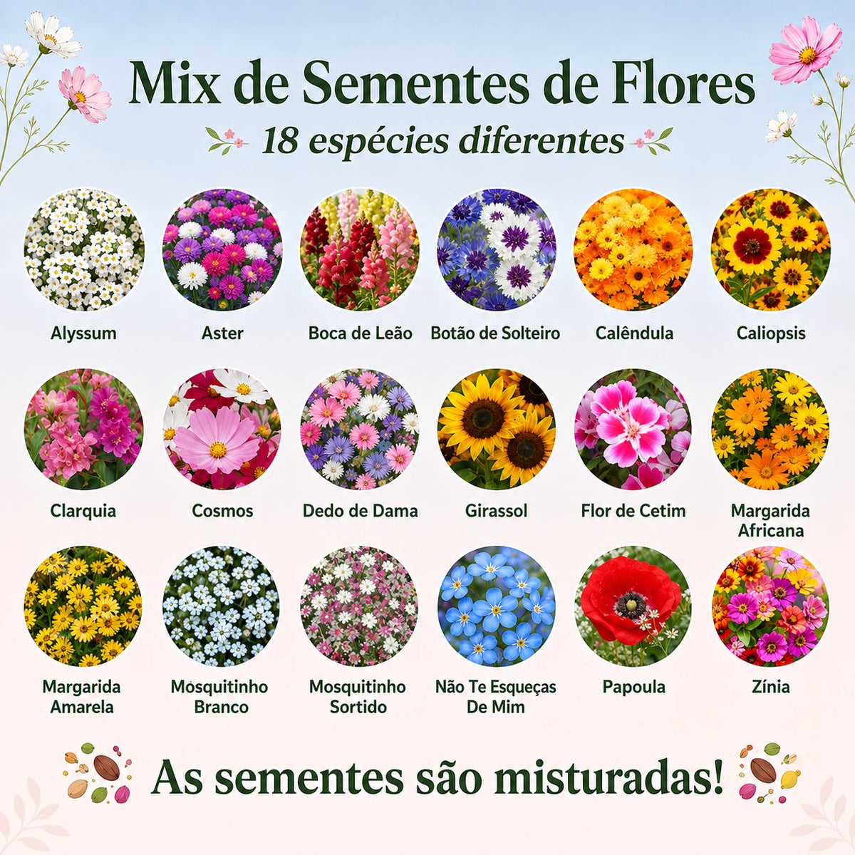 Sementes Sortidas de Flores – Mix com 18 Espécies