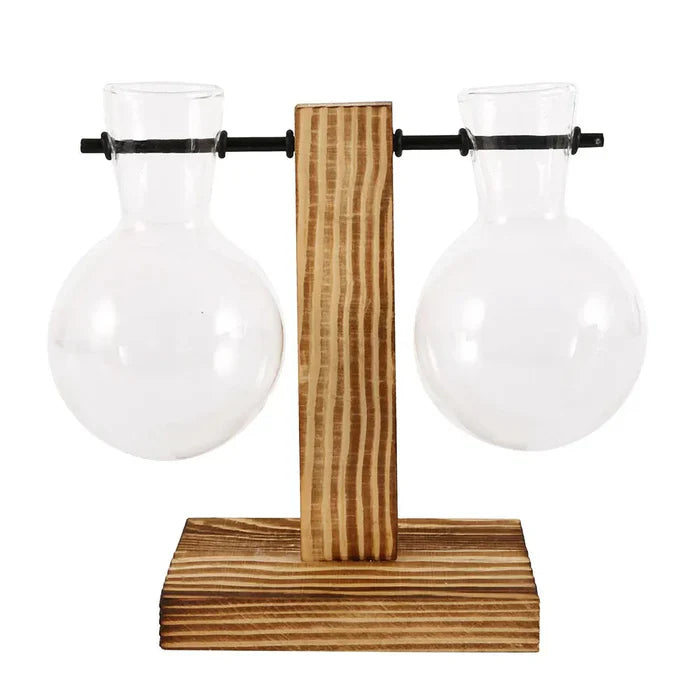 Vaso Decorativo Terrário de Plantas com Suporte