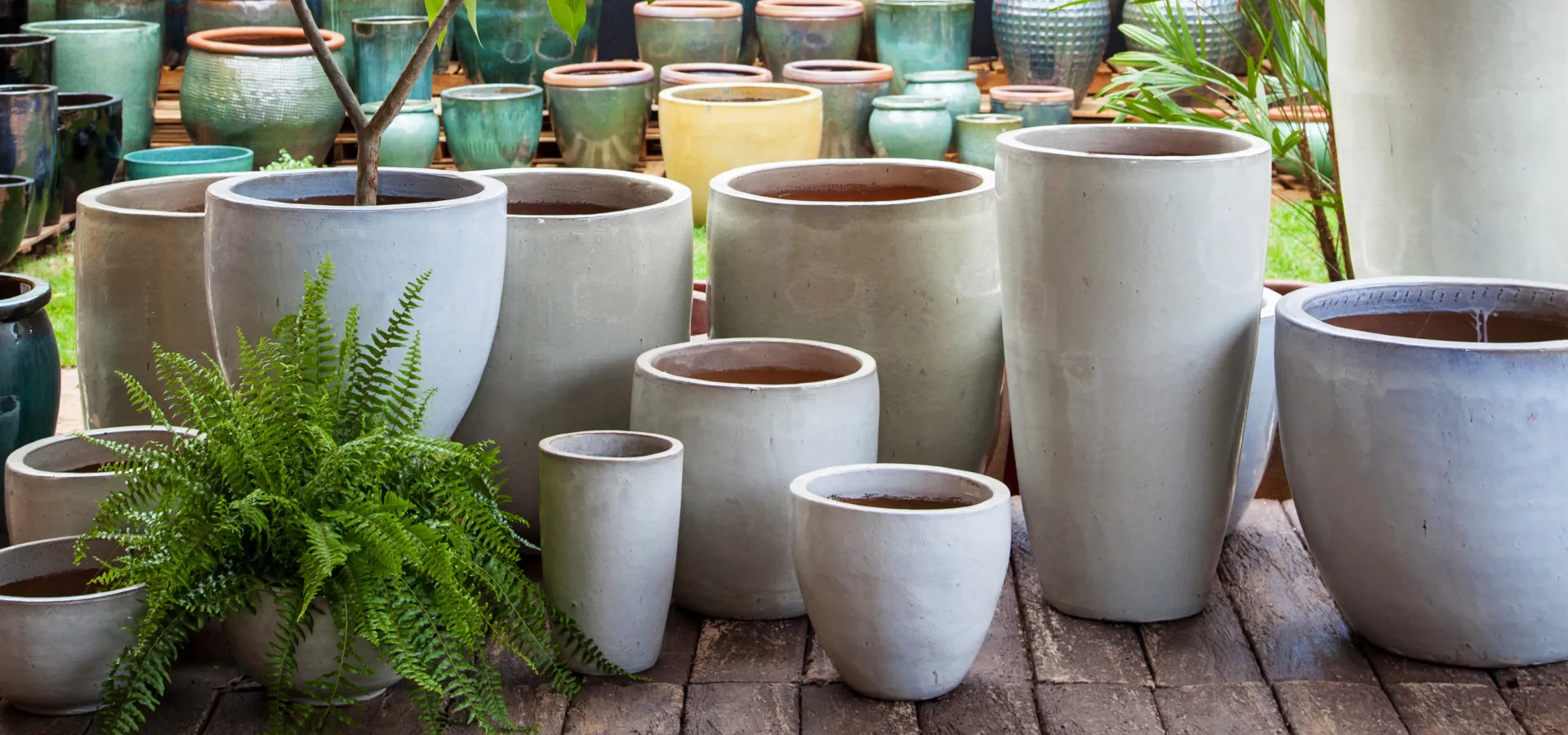 Vasos e Cachepôs