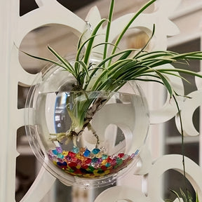 Vaso de Cristal Redondo para Flores de Parede