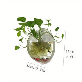 Vaso de Cristal Redondo para Flores de Parede