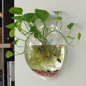Vaso de Cristal Redondo para Flores de Parede