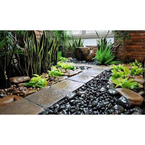 Pedra Seixo Preta Dolomita para Jardinagem e Decoração de Vasos - 5 ou 15 kg