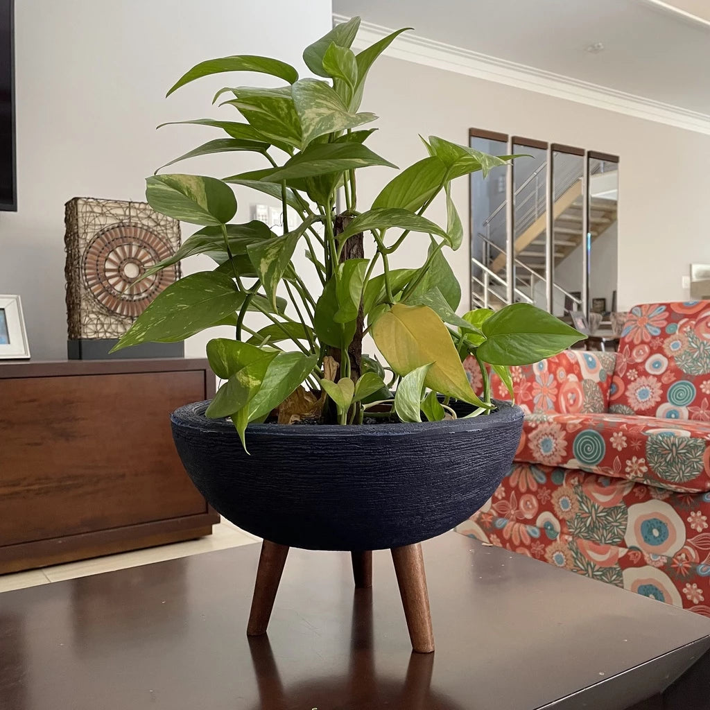 Vaso Bacia 30cm De Polietileno  Com Tripé de Madeira Decorativo Para Flores E Plantas
