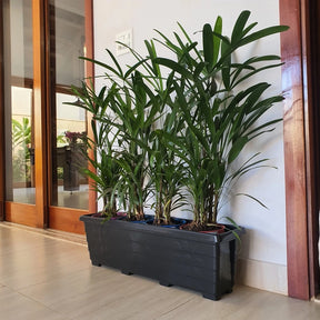 Vaso Jardineira para Plantas Floreira de Plástico de Jardim