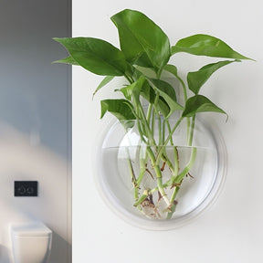 Vaso Transparente para Decoração de Casa e Jardim - Vaso Suspenso de Vidro