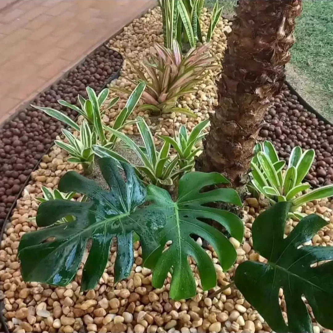 Argila Expandida Modelos 3222 - 2215 - 1506 para Jardim, Drenagem e Decoração
