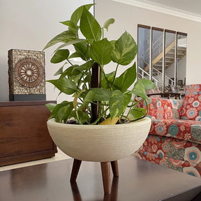 Vaso Bacia 30cm De Polietileno  Com Tripé de Madeira Decorativo Para Flores E Plantas