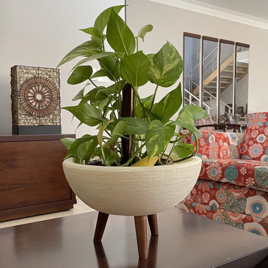 Vaso Bacia 30cm De Polietileno  Com Tripé de Madeira Decorativo Para Flores E Plantas