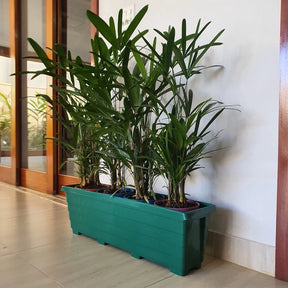 Vaso Jardineira para Plantas Floreira de Plástico de Jardim