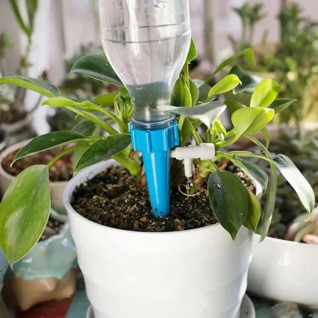 Gotejador para Plantas Regador de Plantas Automático Acoplável Em Garrafa Pet