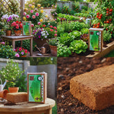 Po de coco coquim substrato organico para vaso jardim orquidea e suculenta