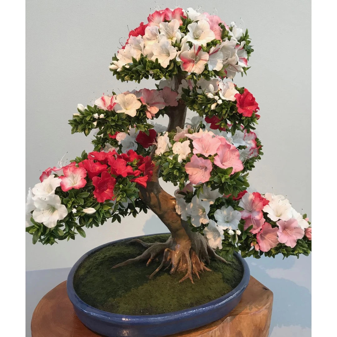 Bonsai Colorido - 200 Sementes