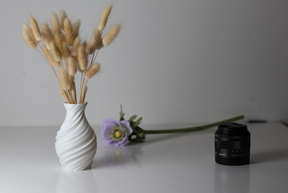 Vaso Decorativo Botaniq