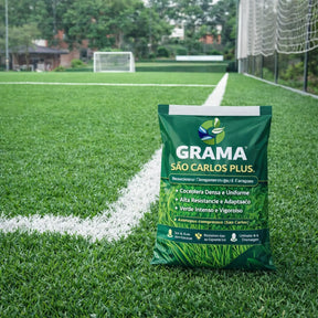 Sementes de Grama São Carlos Plus – Ideal para Meia-Sombra