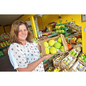 Sementes de Goiaba Gigante para Cultivo em Vasos