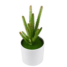 Ramo de Cacto Artificial Verde – Decoração Natural e Sem Manutenção para Casa e Escritório