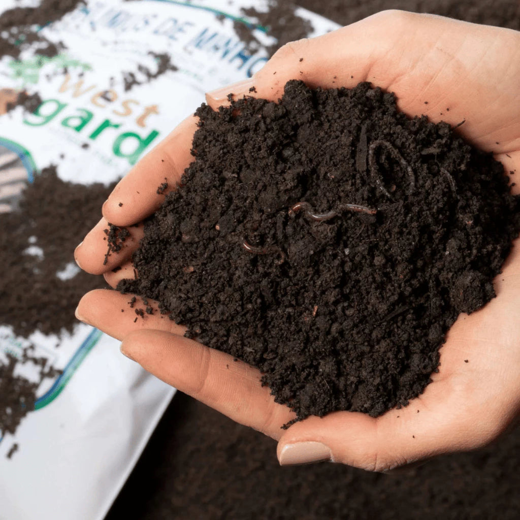 Húmus de Minhoca Até 10kg Adubo Orgânico 100% Natural Para Plantas, Hortas e Jardinagem