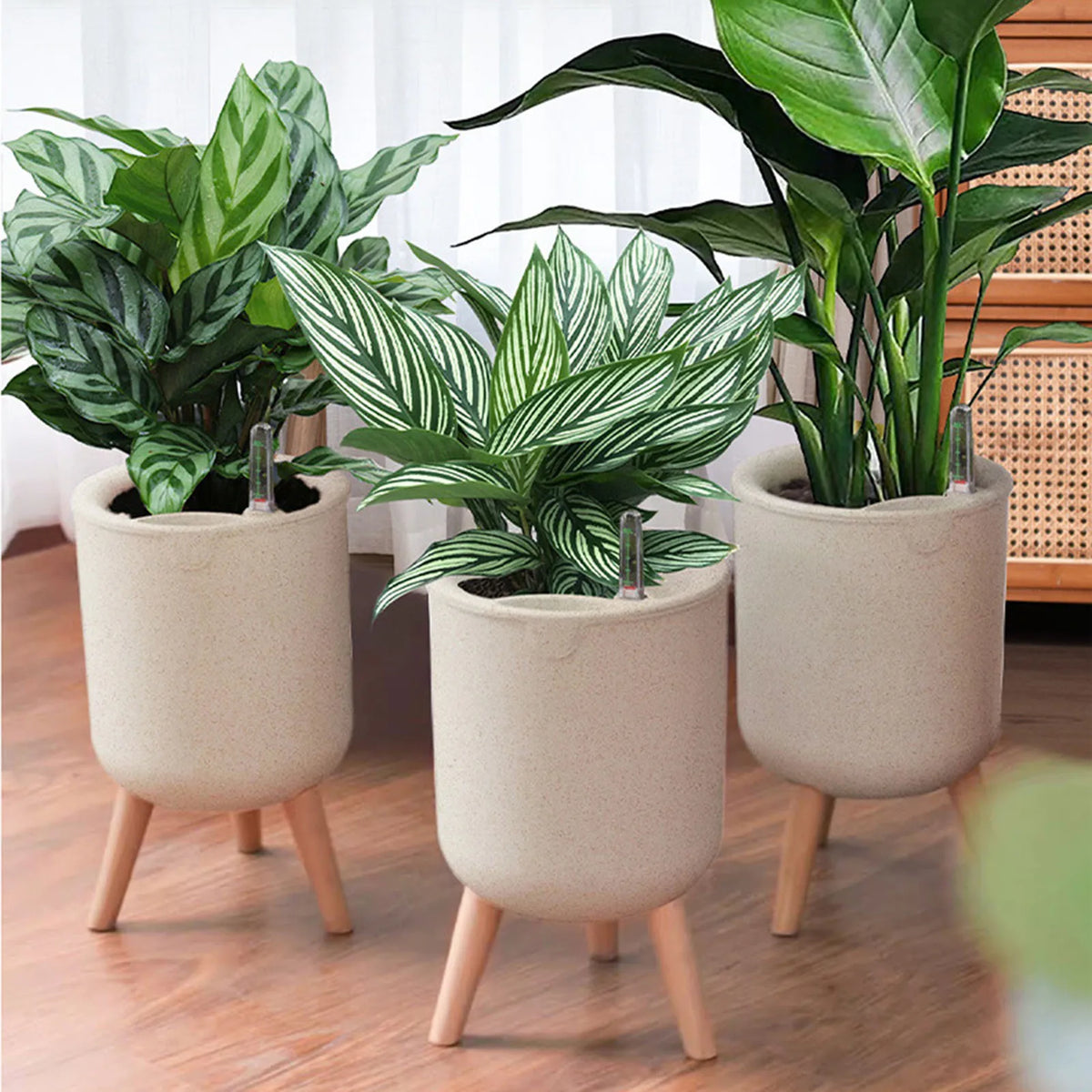 Vaso de Flores com Rega Automática