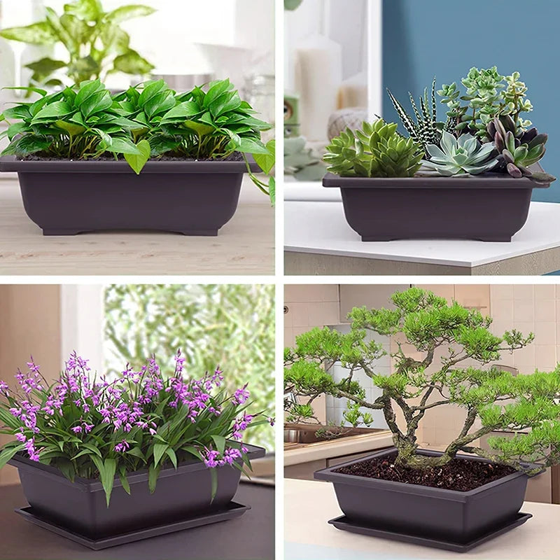 Vasos Clássicos de Plástico com Efeito Argila Roxa para Suculentas e Plantas