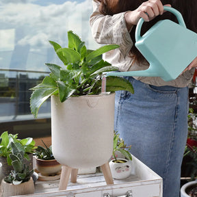 Vaso de Flores com Rega Automática