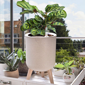 Vaso de Flores com Rega Automática