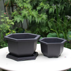 Vasos Clássicos de Plástico com Efeito Argila Roxa para Suculentas e Plantas