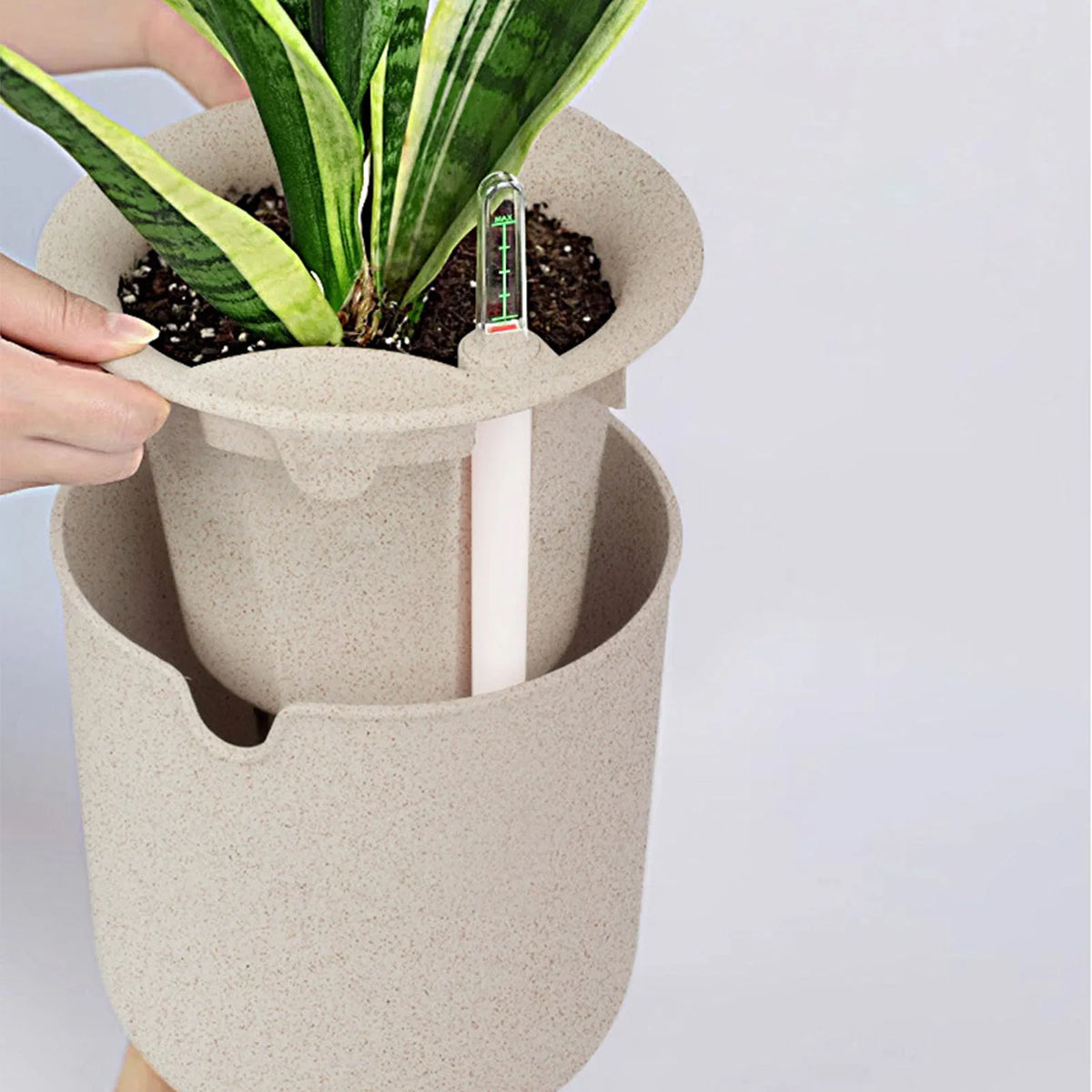 Vaso de Flores com Rega Automática