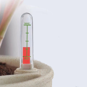 Vaso de Flores com Rega Automática