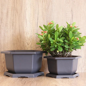 Vasos Clássicos de Plástico com Efeito Argila Roxa para Suculentas e Plantas