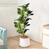 Árvore Artificial Ficus Tropical 80cm a 120cm para Decoração de Jardim
