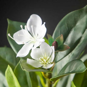 Árvore Artificial Ficus Tropical 80cm a 120cm para Decoração de Jardim
